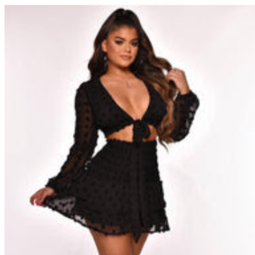 NWT skirt and crop shirt set